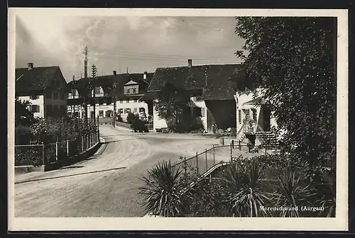 AK Merenschwand, Strassenpartie mit Palmengarten und Gehöft