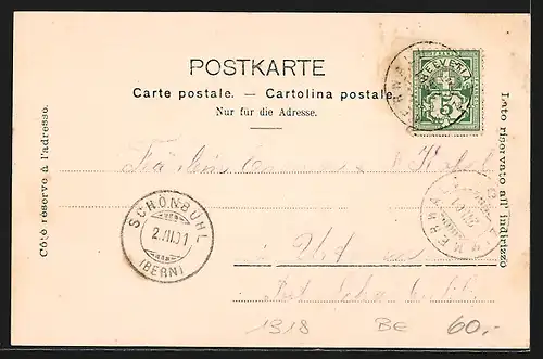 AK Zimmerwald, Ortspartie mit Kirche, Ortspanorama