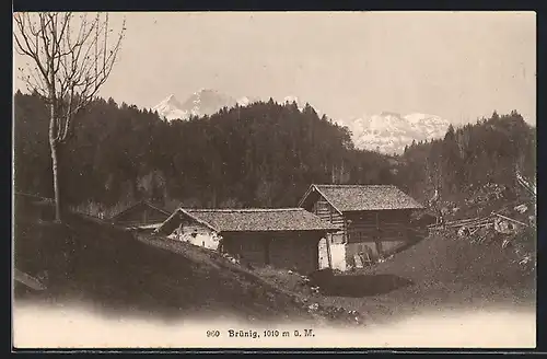 AK Brünig, Ortsansicht mit Bergpanorama