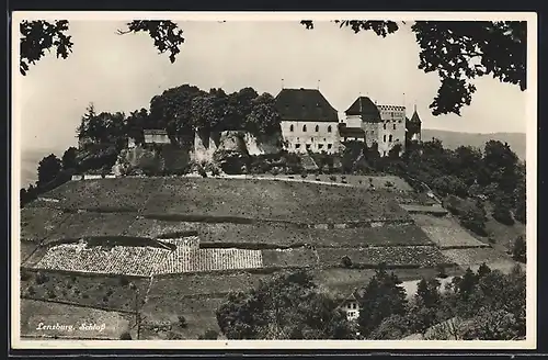 AK Lenzburg, Blick auf das Schloss