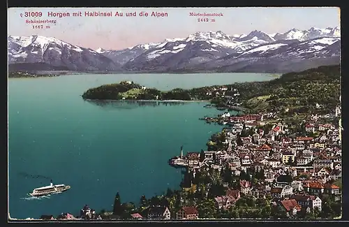 AK Horgen, Teilansicht mit Halbinsel Au und Alpen, Dampfer