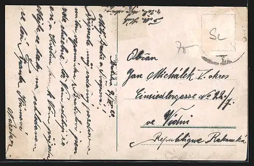 AK Bratislava, Burg und Dampfer in der Dämmerung