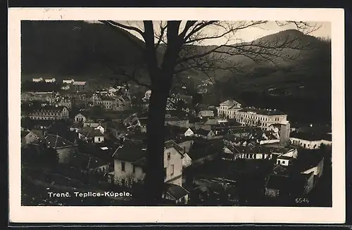 AK Trenc. Teplice, Teilansicht und Baum