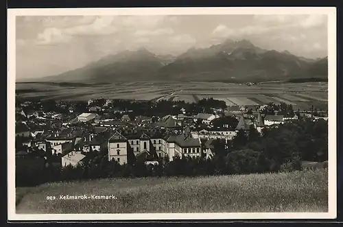 AK Kezmarok / Kesmark, Panorama mit Feldern