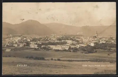 AK Zvolen, Panorama