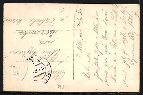 AK Nitra, Celkovy pohled