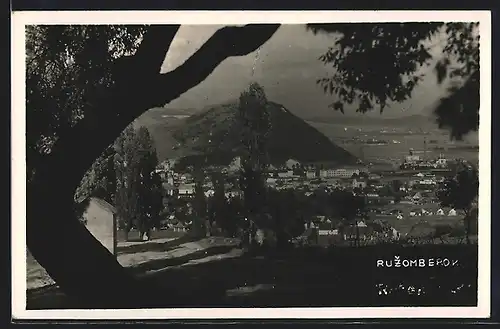AK Ruzomberok, Panorama mit Baum