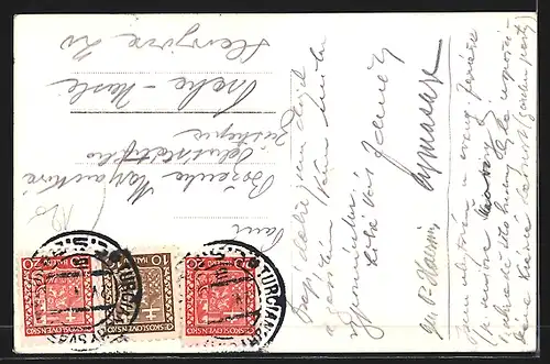 AK Turc Sv Martin, Szejanikov ustav