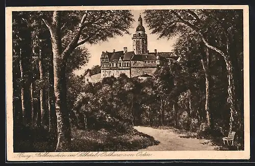 AK Selketal /Ostharz, Burg Falkenstein