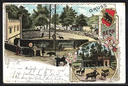 Lithographie Bern, Am Bärengraben, Blick in den Hirschpark