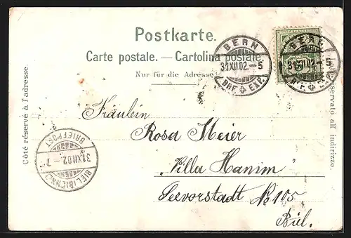 Lithographie Bern, Am Bärengraben, Blick in den Hirschpark