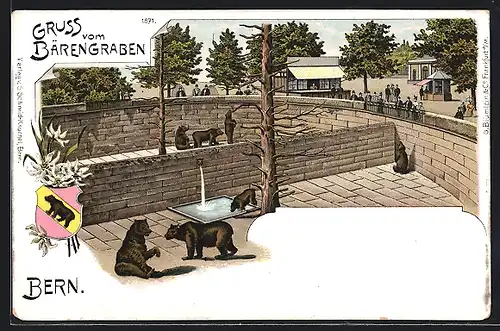 Lithographie Bern, Zoo, Bären im Freigehege, Gruss vom Bärengraben