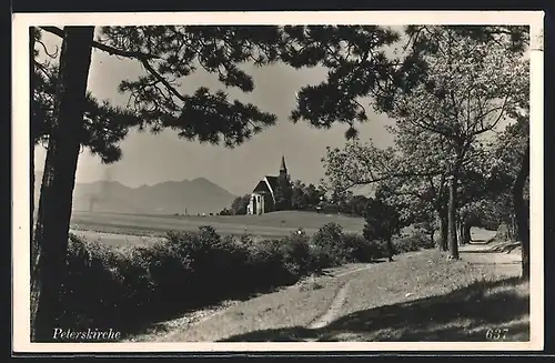 AK Ternitz, Dunkelstein, Blick zur Peterskirche