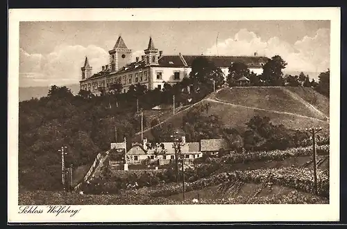 AK Krems an der Donau, Schloss Wolfsberg