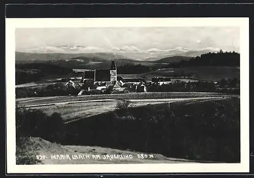 AK Maria Laach am Jauerling, Ortsansicht mit Kirche