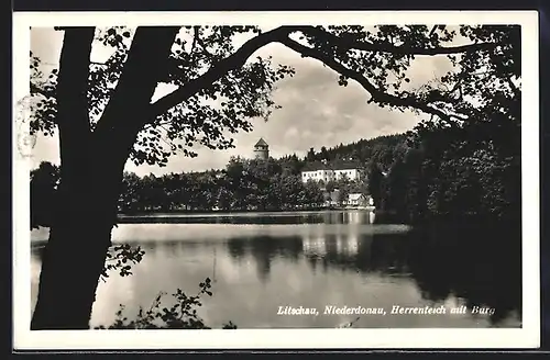 AK Litschau, Herrenteich mit Burg