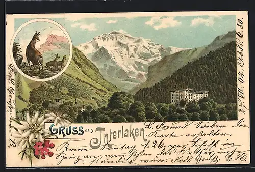 Lithographie Interlaken, Blick auf Berge