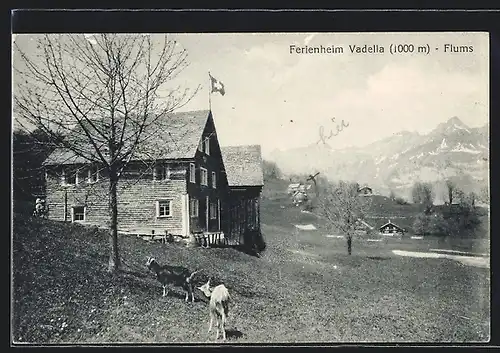 AK Flums, Ferienheim Vadella mit Ziegen
