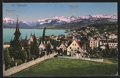 AK Wädenswil, Teilansicht mit Mürtschenstock und Schäniserberg