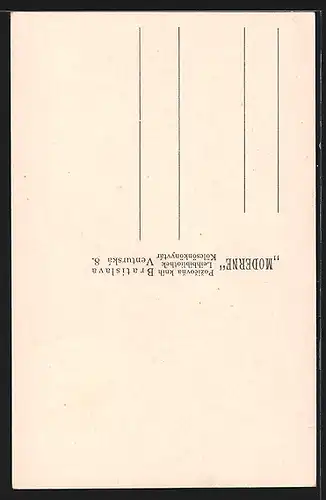 AK Bratislava, Strassenpartie am Michaelertor