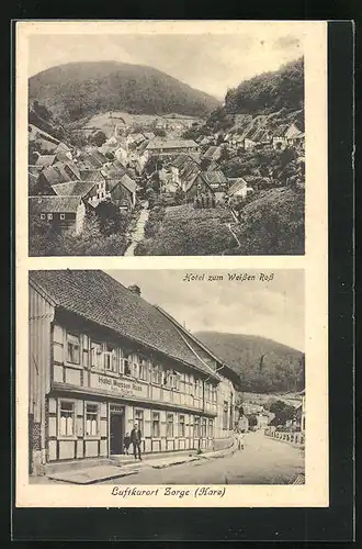 AK Zorge / Harz, Hotel zum Weissen Ross, Ortsansicht aus der Vogelschau