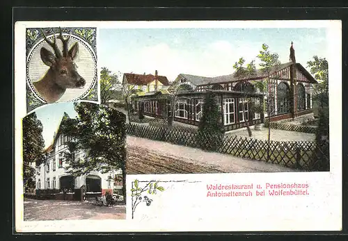 AK Wolfenbüttel, Waldrestaurant und Pensionshaus Antoinettenruh