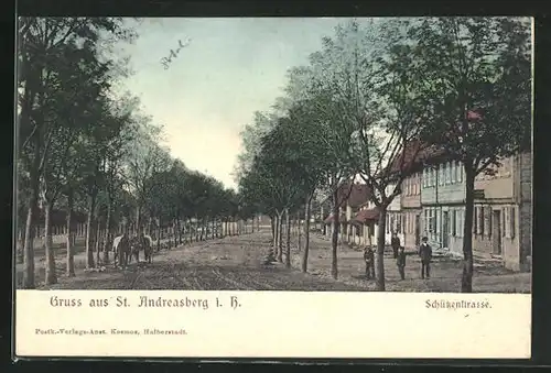 AK St. Andreasberg i.Harz, Schützenstrasse