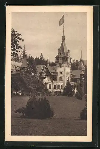 AK Sinaia, Ansicht vom Schloss Peles