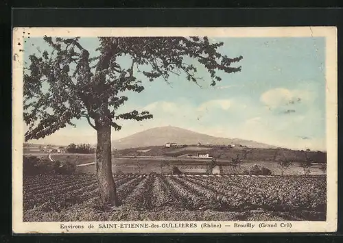 AK Brouilly, der Acker