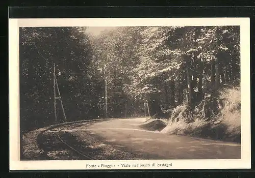 AK Fiuggi Fonte, Viale nel bosco di castagni