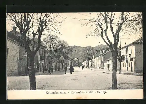 AK Cetinje / Cettigne, Katunska-Strasse mit Bäumen