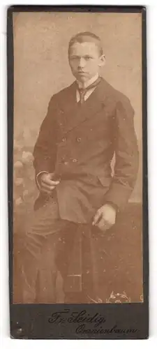 Fotografie Fr. Seidig, Oranienbaum, Portrait junger Herr im Anzug mit Krawatte