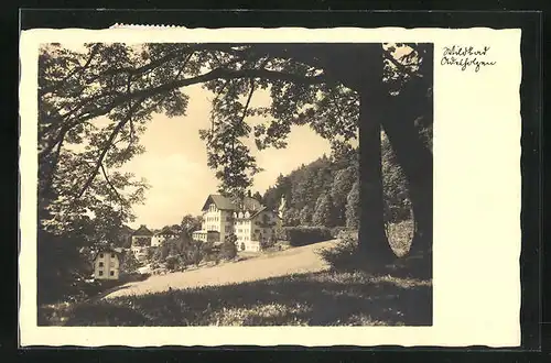 AK Bad Adelholzen, Ortspartie mit Bäumen