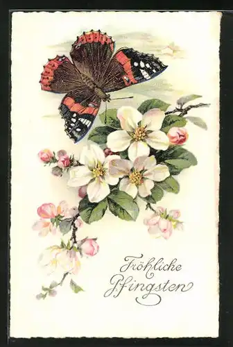 AK Blumen und ein Schmetterling, Pfingstgruss