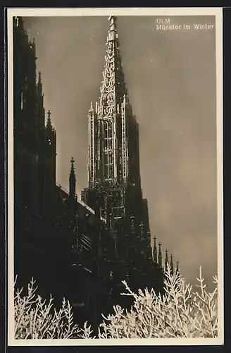 AK Ulm, Münster im Winter