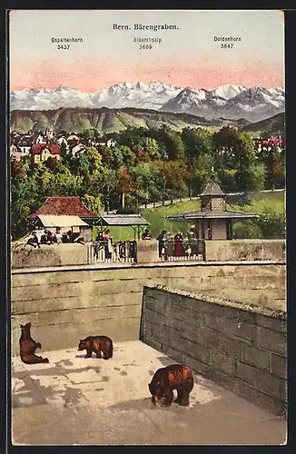 AK Bern, Bärengraben mit Gspaltenhorn, Blüemlisalp, Doldenhorn