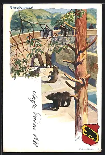 Lithographie Bern, Bärengraben, Steingehege mit Bären