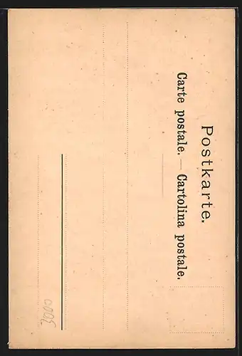 Lithographie Bern, Bärengraben, Steingehege mit Bären