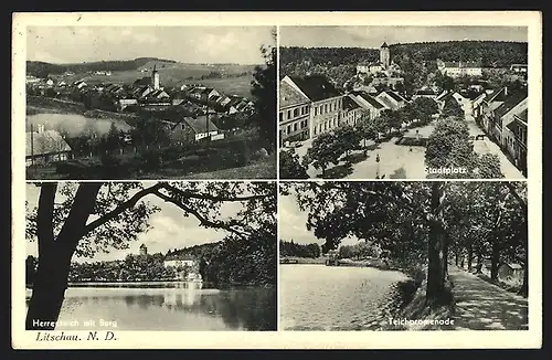 AK Litschau, Stadtplatz, Herrenteich mit Burg