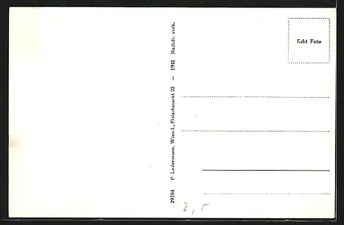 AK Reichenau an der Rax, Hirschwang, Windbrücke mit Schneeberg im Höllental