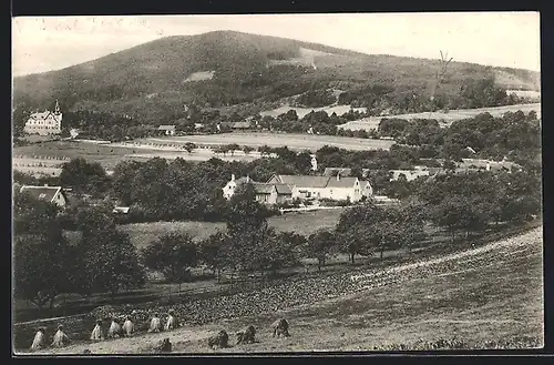 AK Buchbach bei Pottschach, Panorama