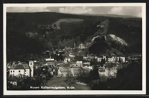 AK Kaltenleutgeben, Teilansicht mit Kirche
