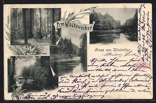 AK Winterthur, Brücke und Partie am Walkenweiher