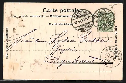 AK Winterthur, Brücke und Partie am Walkenweiher