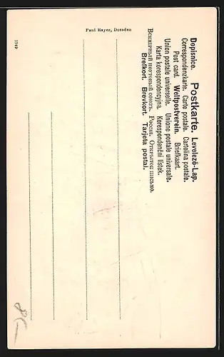 Künstler-AK Husar in grüner Uniform