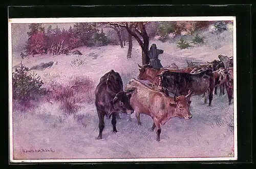 AK Rotes Kreuz Nr. 497: Franz Baumann Infanterist des k. k. Landwehr-Infanterieregimentes Nr. 21 kauft Schlachtvieh ein