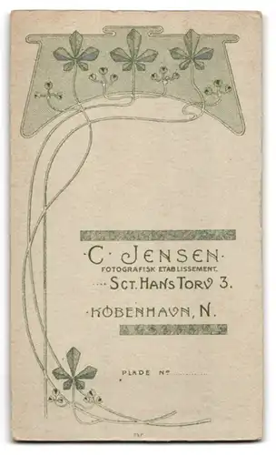 Fotografie C. Jensen, Kobenhavn, Portrait kleiner Junge Hubert im Kleidchen, 1907