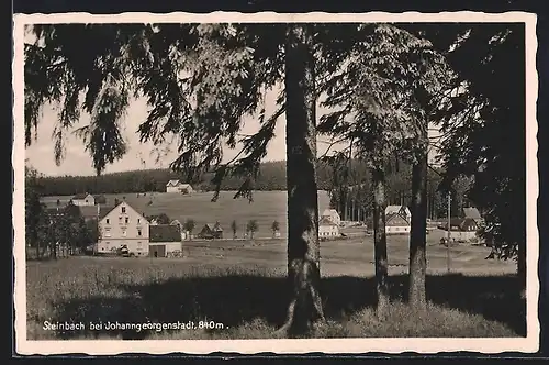 AK Steinbach bei Johanngeorgenstadt, Ortspartie mit Bäumen