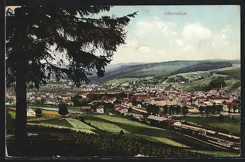 AK Olbernhau, Teilansicht mit Baum