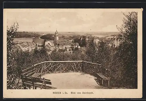 AK Nossen i. Sa., Blick vom Steinbusch